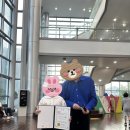 모차르트 한국 콩쿨 부산 지부대회 | [부산 피아노레슨] 모차르트 국제콩쿨 한국부산지부 1등상 - 초등부 6학년 현OO