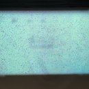 버디스크린 골프존 이미지