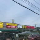 철마우림