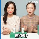 앤즈