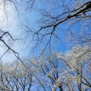 진주시립연암도서관 이미지