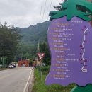 금대유원지 네이버블로그