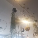 대풍공업(주) 이미지