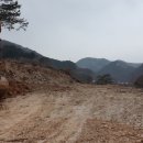 명호면사무소 이미지