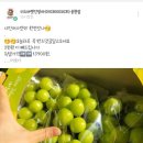 미소네점빵