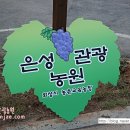 송산포도은성농원