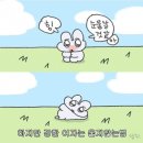 김미경 동물병원 | [일상] 4박5일 근종이 일기/자궁근종 로봇수술/강남차병원 김미경교수님