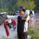 대동민박 이미지