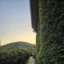 이발하기좋은날 이미지