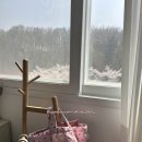 은물어린이집 | 프뢰벨 토탈 프리미엄 수업 후기 - 느껴보아요/색을 알아요