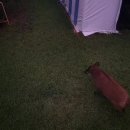 소란농장 이미지