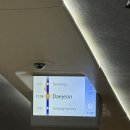 대덕승강장 | 노잼도시 아니고 맛집 유잼도시 꿈돌이 대전 우정 여행 찐맛집 추천