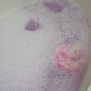 근력스트레칭 | 2026.03.02 소그룹 스트레칭 근력 운동