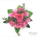 화훼장식기능사(초급) 이미지