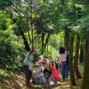 상진초교병설유치원 이미지