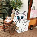 버만캣패밀리 이미지