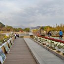 양산 워터파크 국화축제 이미지