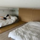 스페이스 인더문 이미지