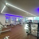 지와이 피티 이미지