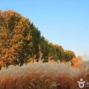 큰사람농장 이미지