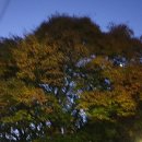 평촌(벌말)경로당 이미지