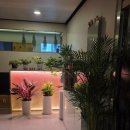 수바디샵 | [행신역마사지] 피로가 싹 풀리는 수중국전통바디샵 솔직 후기!