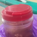 독도회센터 | 속초 동명항 회포장 솔직후기｜복어·광어·독도새우까지 회센터 이용 꿀팁