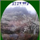 섬진장 이미지