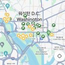 5월 미국 동부 워싱턴 여행 &lt;뉴욕에서 워싱턴 D.C 당일치기&gt; 후기 🏛🇺🇸