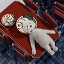 씨에스씨(CSC)숯불바베큐 이미지