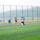 비봉인조잔디구장 이미지