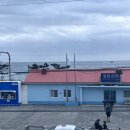 안송로113번길13 | 해파랑길 ⑦ : 36-38코스