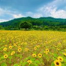 금강생태마당 이미지