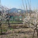 선수촌로207번길 이미지