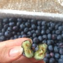 갈마농원 이미지