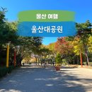 울산대공원수영장카페