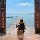 청해포구촬영장 | 전남 완도 가볼 만한 곳 청해포구 촬영장 여름 여행지 추천