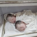 한나산후조리원 | 쌍둥이 제왕절개 출산 전주 한나산후조리원 후기