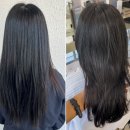 컷트만들기 - 완도군 | 신논현미용실 추천, 어몽헤어 은채디자이너 오주아 크리닉 및 퍼스널컷트 후기