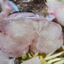 수산식당 이미지