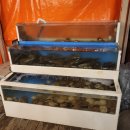 염전조개구이원주직영점 | 원주 조개구이맛집 단계동 염전조개구이 원주직영점