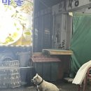 바다마을회센타
