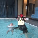 밀양대로 | 밀양 비클래시 영남알프스점에서 사촌들과 휴양 후기