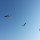 오케이자동차정비센타주