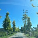 이마트24 연천미산점 | 임진강캠핑장 후기 파주 문산 연천 신상 캠핑장 애견 동반가능