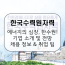 한빛5호 태양광발전소 | 한국수력원자력, 원자력과 수력의 중심, 자연을 닮은 에너지! 기업 소개 및 전망, 취업 정보 [이공계...