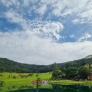 에스지(SG) 스크린골프 세종시청점 | 【 SG 스크린골프 세종시청점】 " OK 금융그룹 박세리 인비테이셔널 " 갤러리 후기​ 2편"