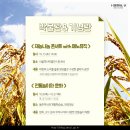 바람의 소리, 플루트 이미지