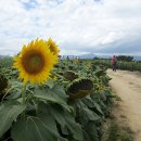 강주문화마을영농조합법인 이미지
