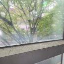 구구여행사